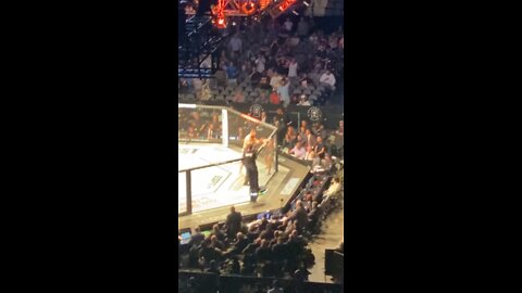 Knee knockout UFC