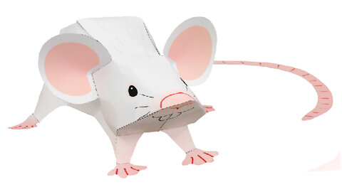 Paper mouse/Ratón de papel/Rato de papel