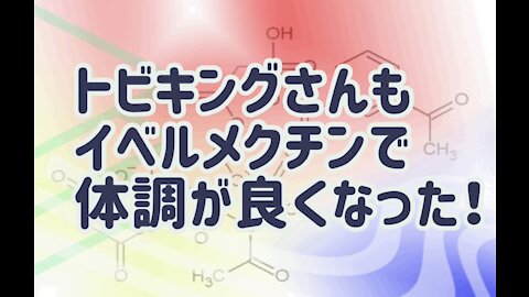 トビキング現況報告 イベルメクチン服用