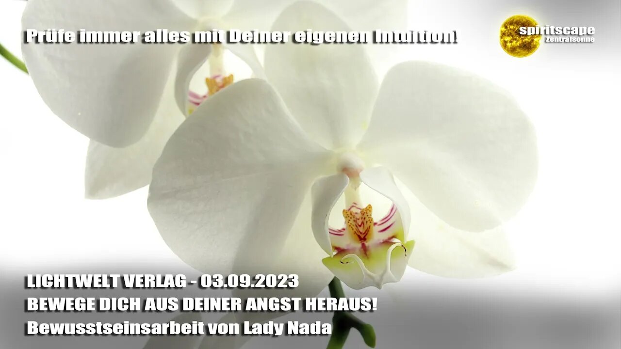 BEWEGE DICH AUS DEINER ANGST HERAUS! - Bewusstseinsarbeit von Lady Nada ~ LWV