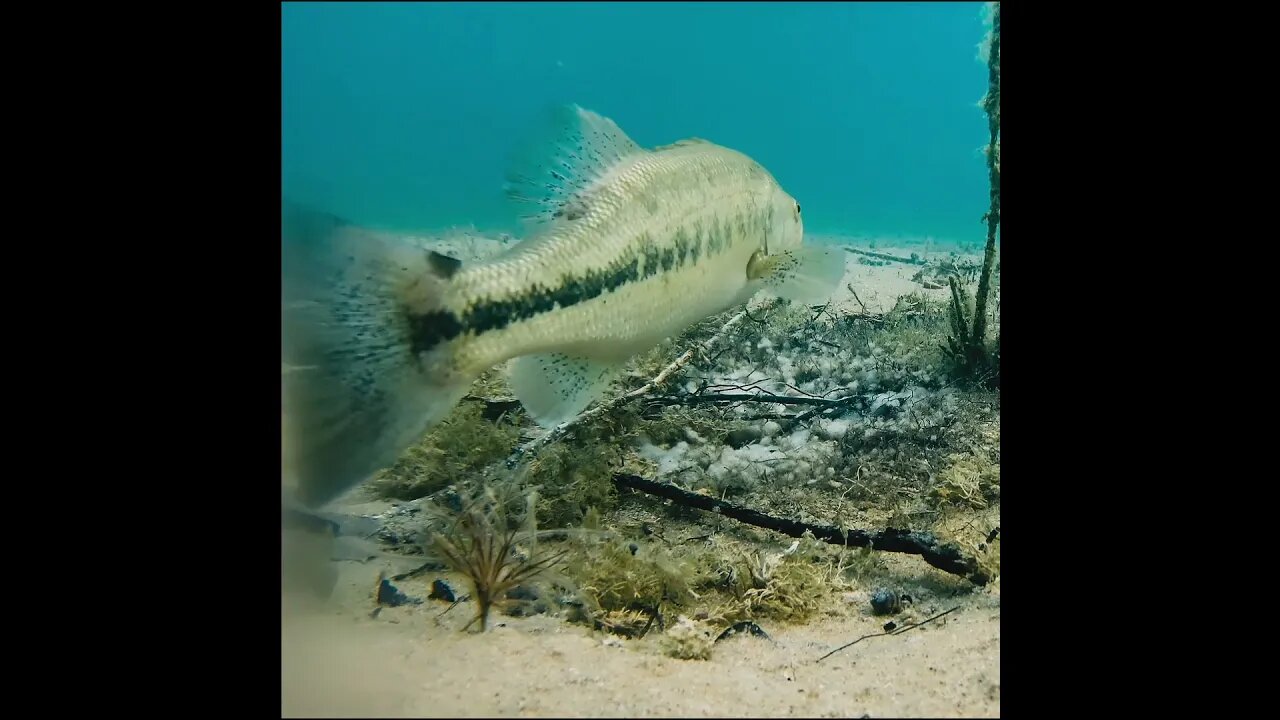 just no takers today