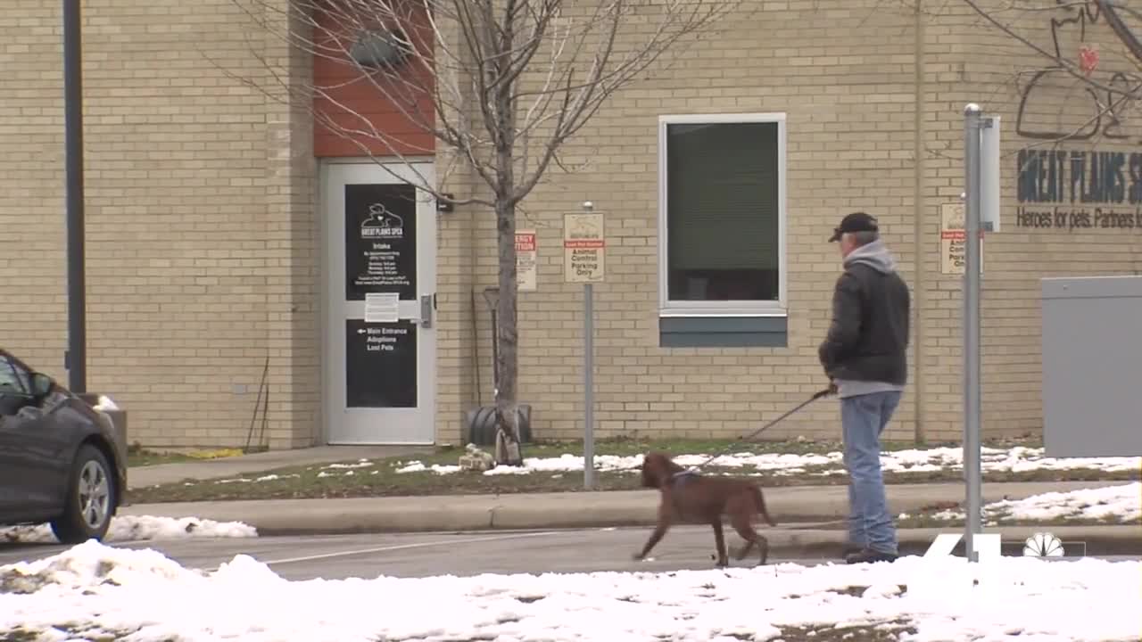 Great Plains SPCA will stop running shelter