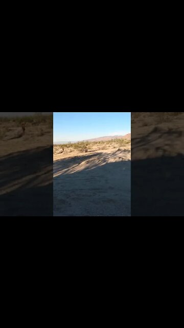 A New Way.... no rich, no poor (no one should starve or suffer)