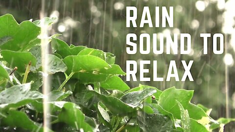 Rain sound to relax and help babies sleep, with a melody in the background. (No thunder)