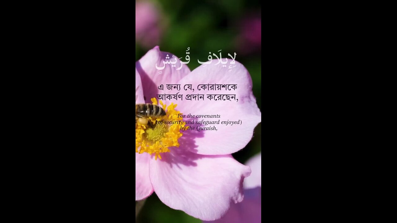 সূরা কোরাইশSurah Quraish