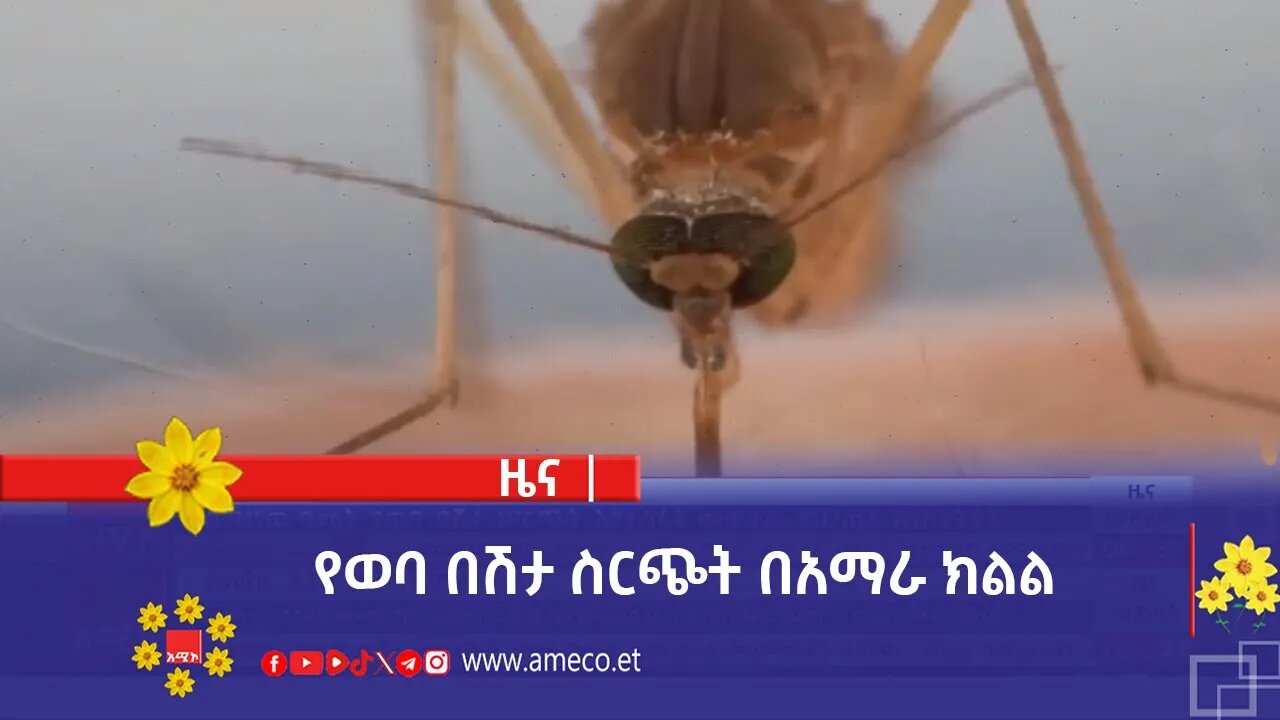 የወባ በሽታ ስርጭት በአማራ ክልል