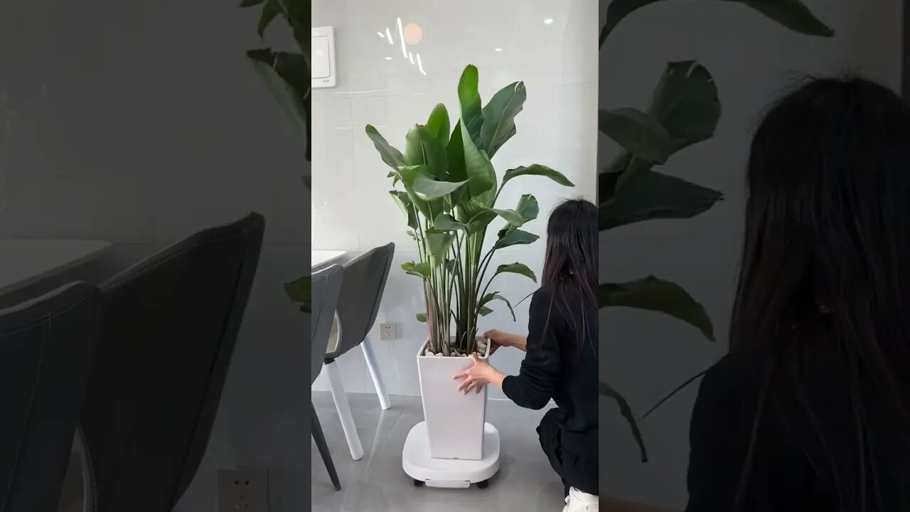 Flowering pot Gadget| Luxury Home Tour