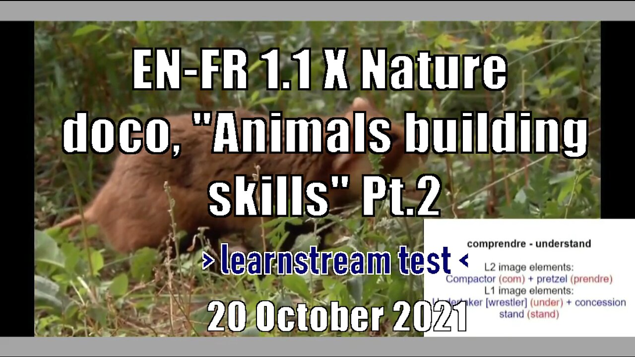 EN-FR 1.1 X Nature doco, "Animals building skills" Pt.2 | learnstream_TEST | 20 October 2021