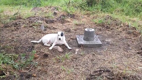 Gideon Hanging at Panthros Grave