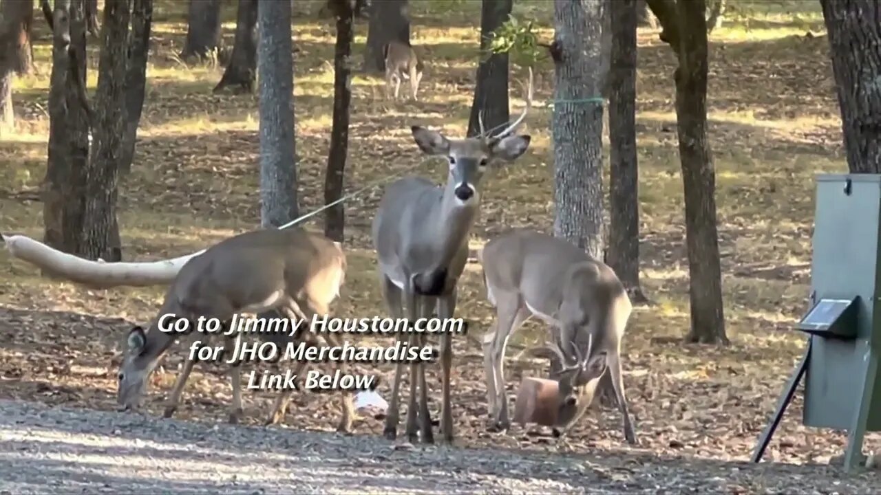 Checking on on the Brotherhood! Twin Eagle Deer October 19th