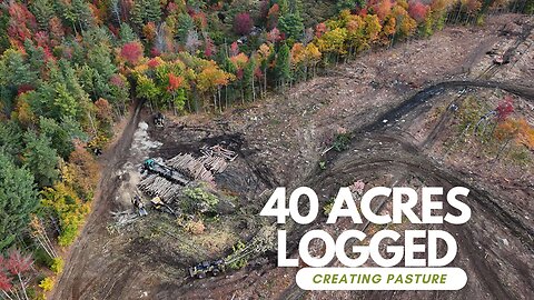 Transforming 40 Acres: From Forest To Pasture Or Campground!