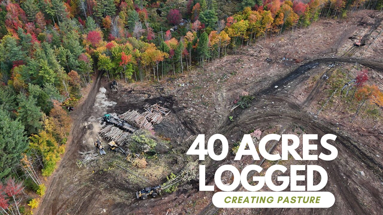 Transforming 40 Acres: From Forest To Pasture Or Campground!