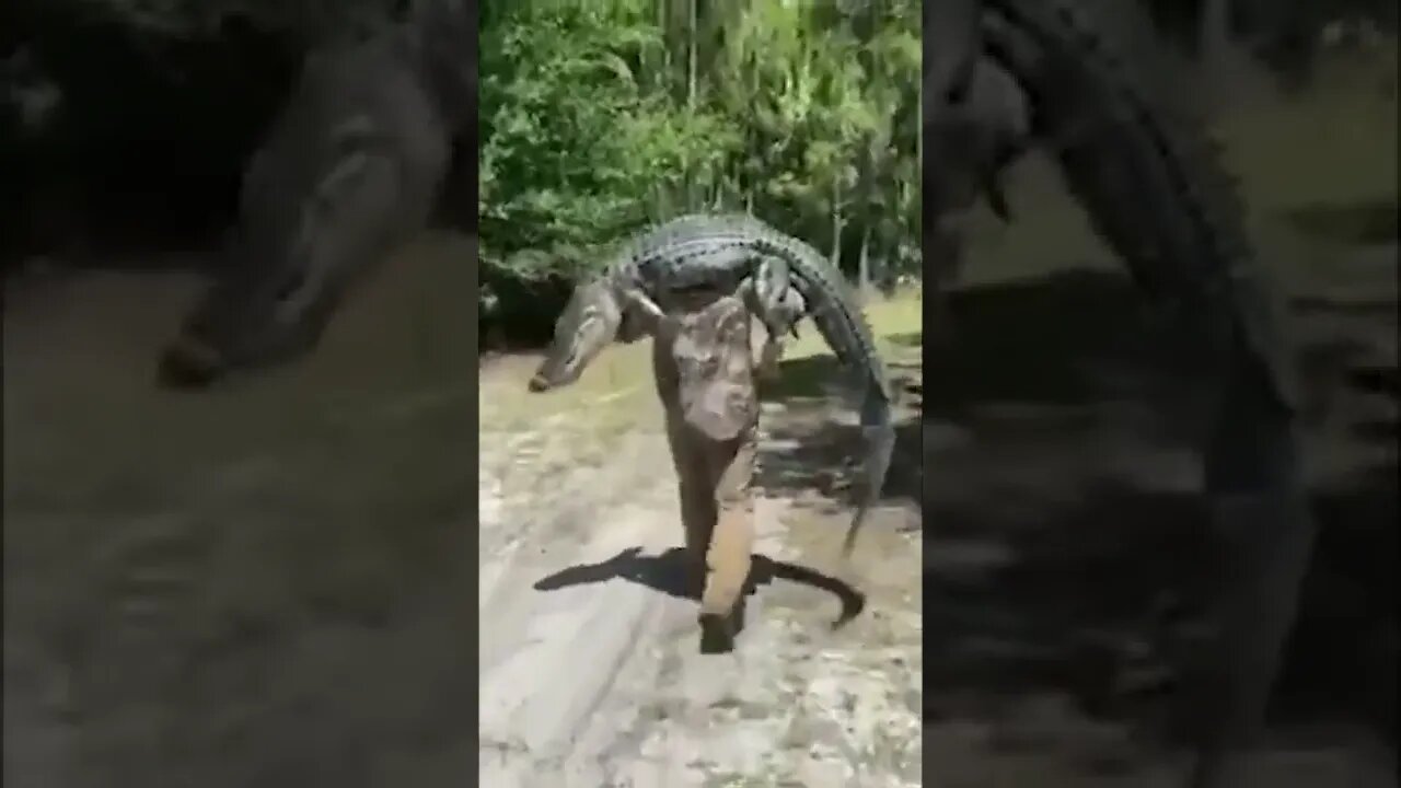 Time to do some sketchy chit do dah do dah #floridaman style.