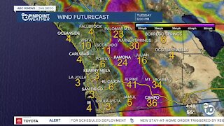 ABC 10News Pinpoint Weather with Meteorologist Megan Parry