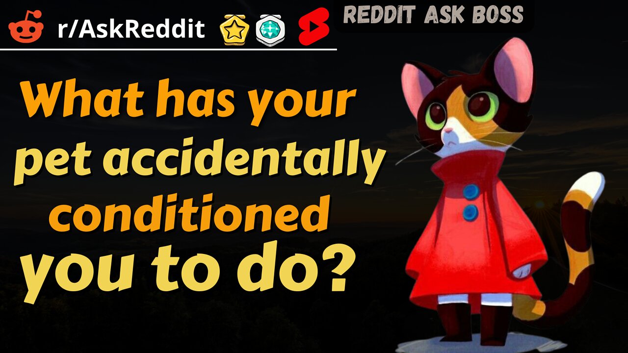 What has your pet accidentally conditioned you to do? #shorts nsfw #askreddit