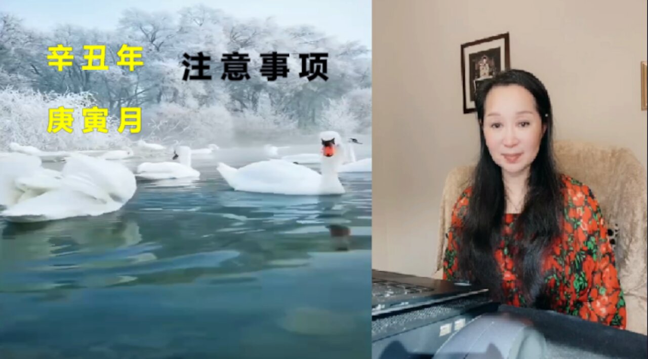 41(2021.2.4）辛丑年庚寅月要注意的事项；丑未冲命盘带来的效应。