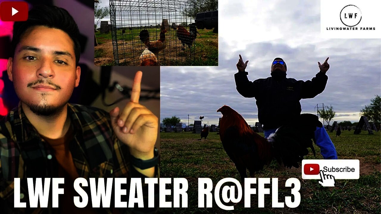 LWF Christmas Sweater Fowl Stream