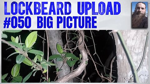 UPLOAD #050 Big Picture