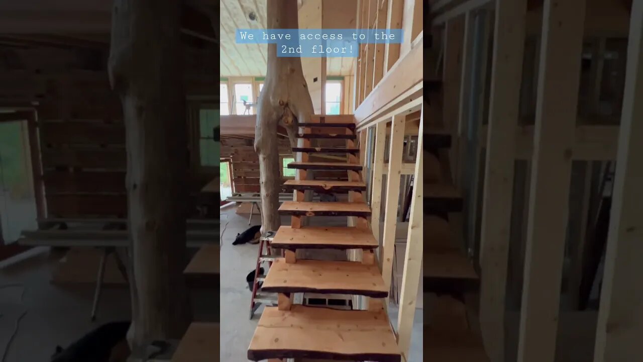 Rough cut Hemlock stairs are in! #homesteading #loghome #homesteadingfamily #stairs #housedesign