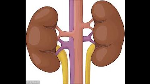 大陆网友爆料：一医院半小时完成配型 14人同时换肾