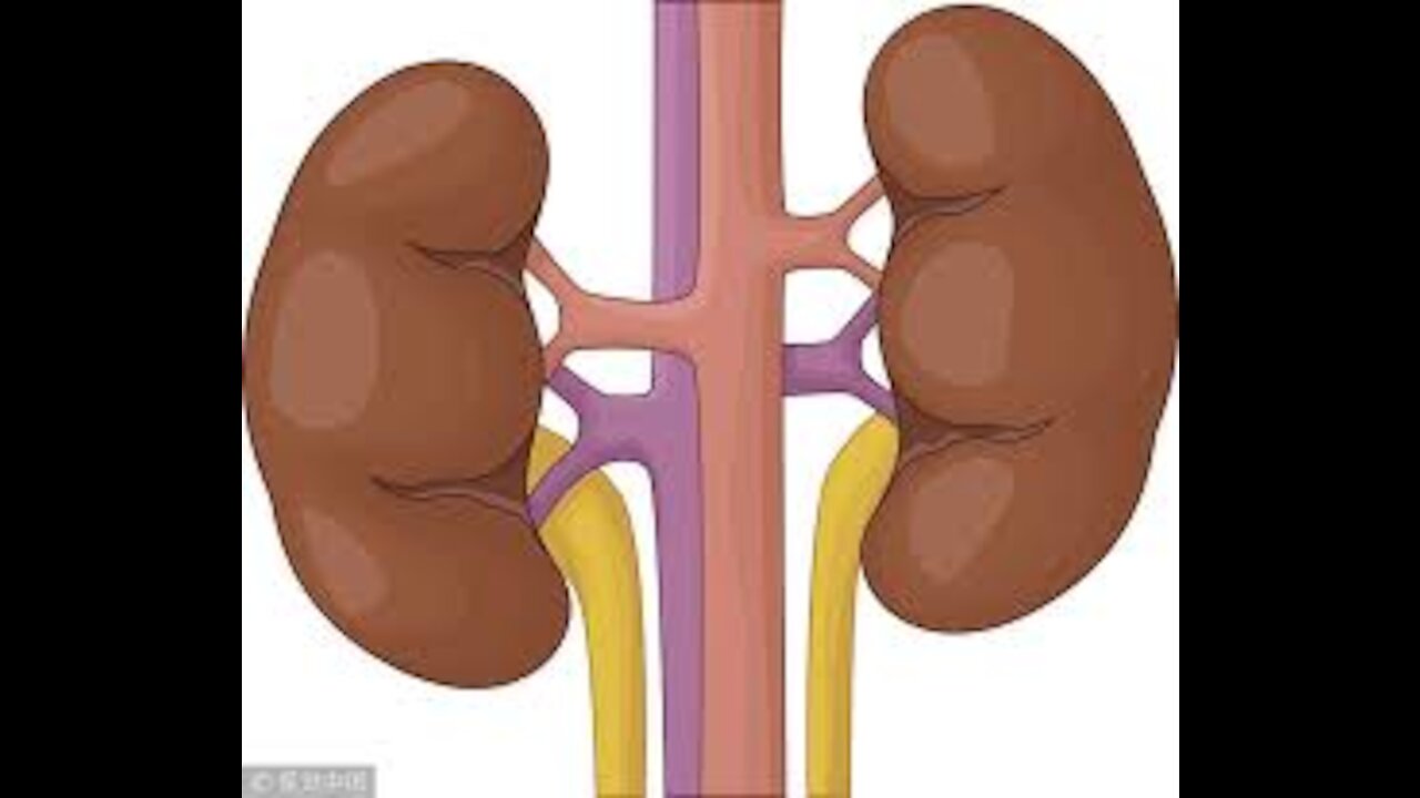 大陆网友爆料：一医院半小时完成配型 14人同时换肾