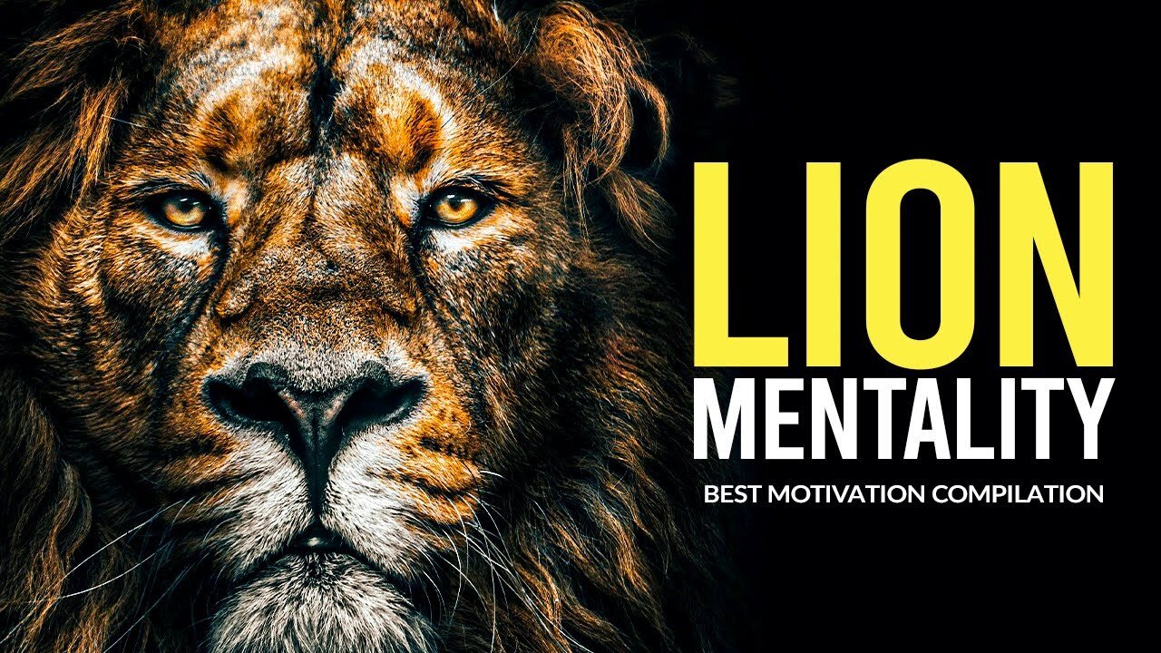 Daily Discipline Motivational Video |Lion Mindset #5