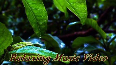 Wonderful Relaxing Music Video...Calm Music Video...