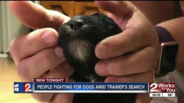 People running into unexpected obstacles trying to get their dogs after trainer's home searched