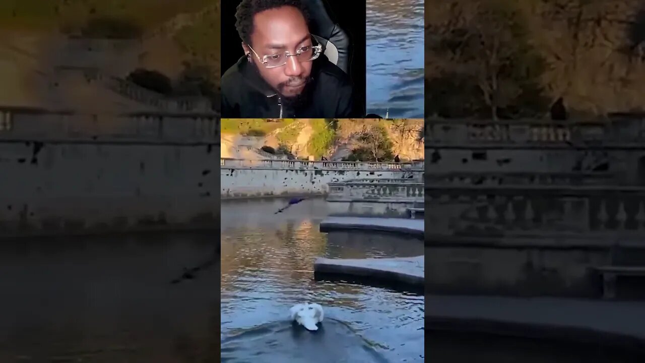STUPID GUY GET BIT BY A DUCK🦆🤬
