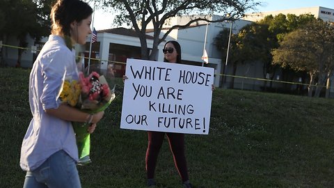 Making Parkland Political