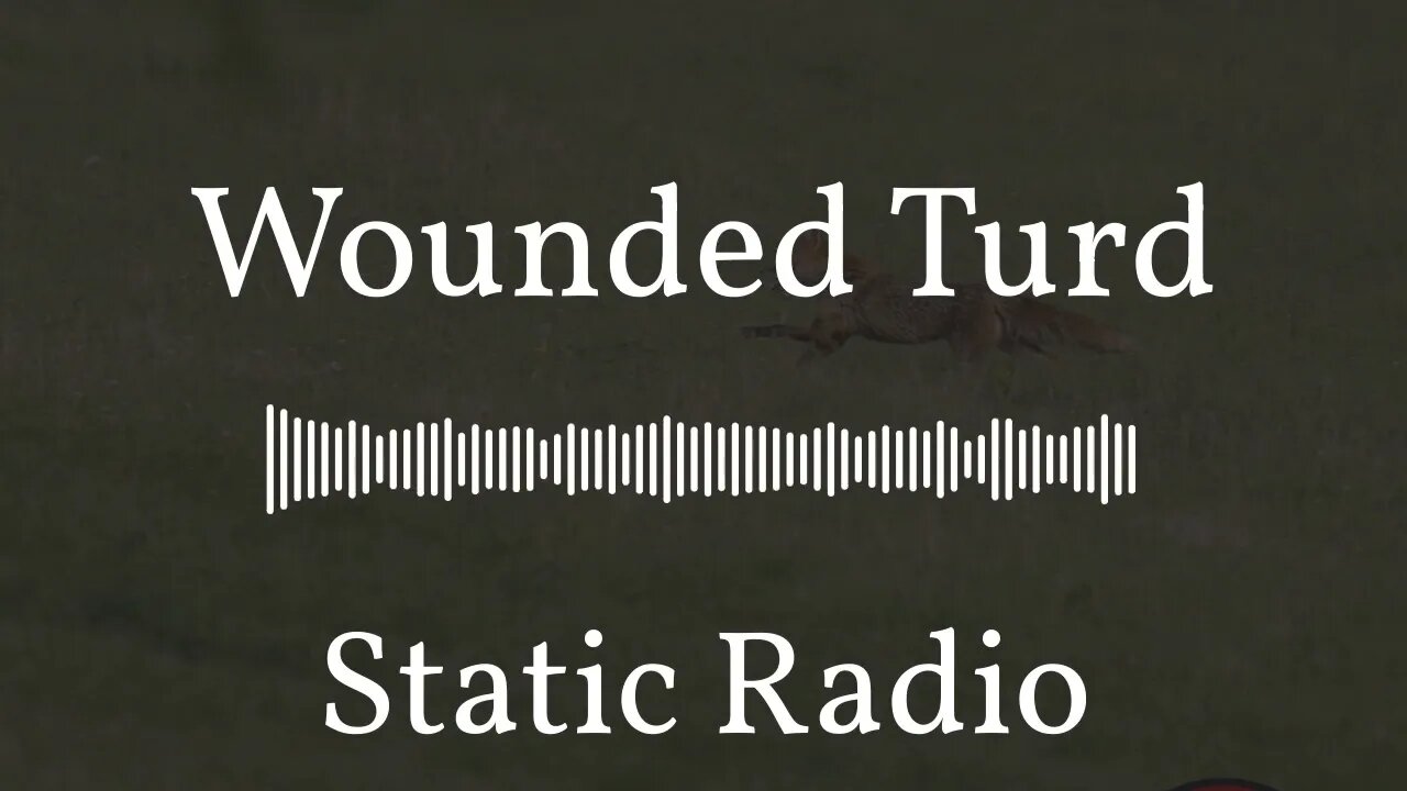 Wounded Turd | Static Radio