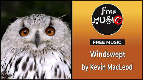 Windswept - Kevin MacLeod