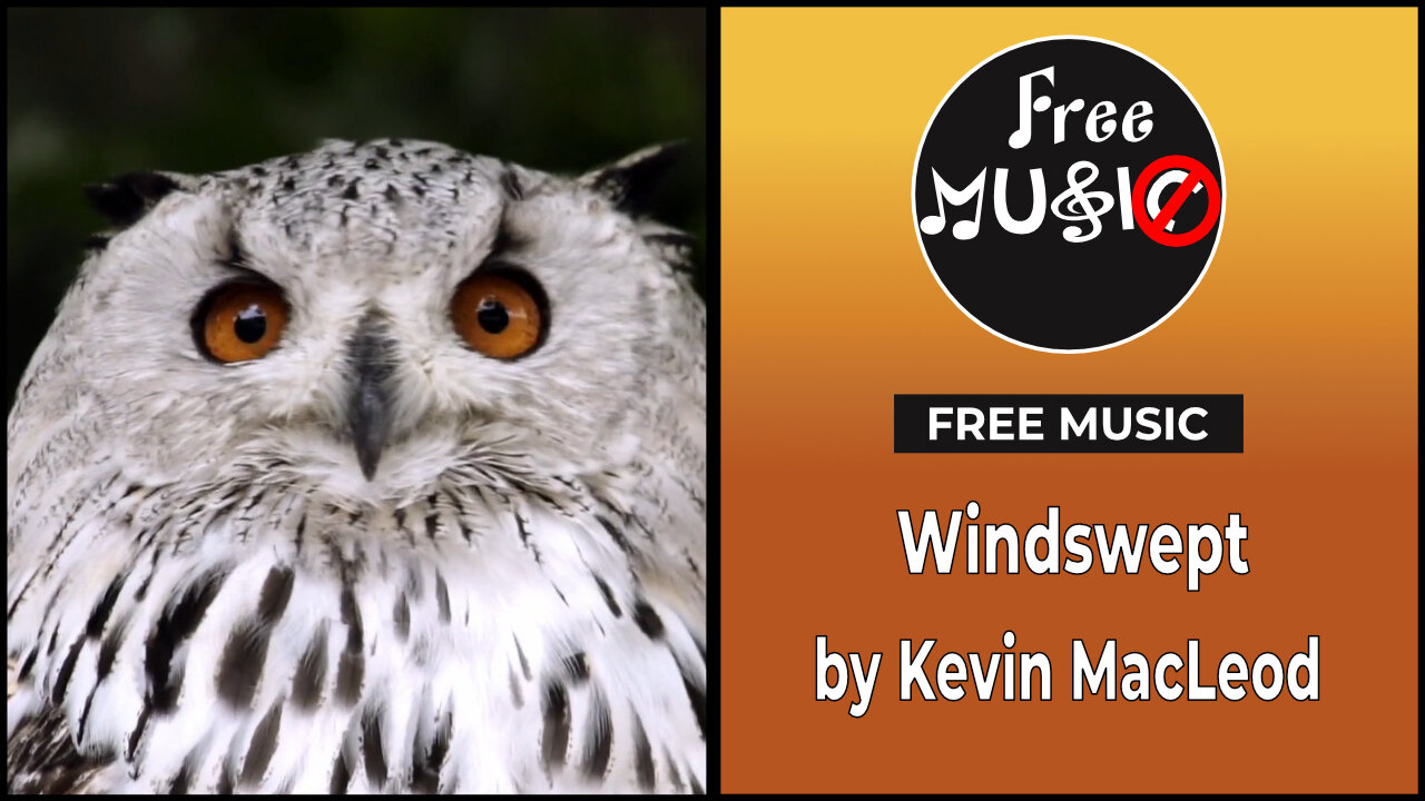 Windswept - Kevin MacLeod