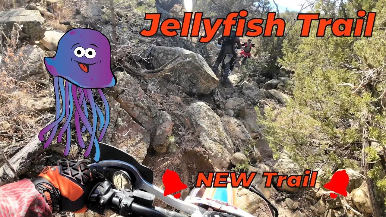 🔔 New Trail Alert 🔔 Jellyfish Trail because it's what your arms feel like afterwards!