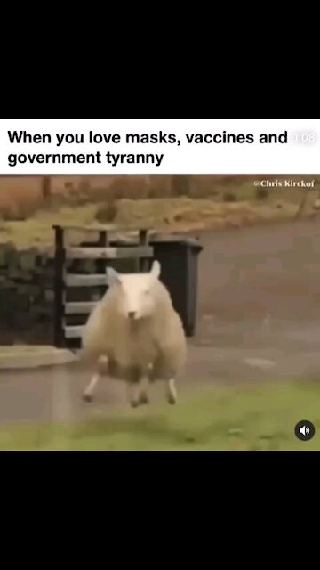 When you love masks, vaccine, and government tyranny
