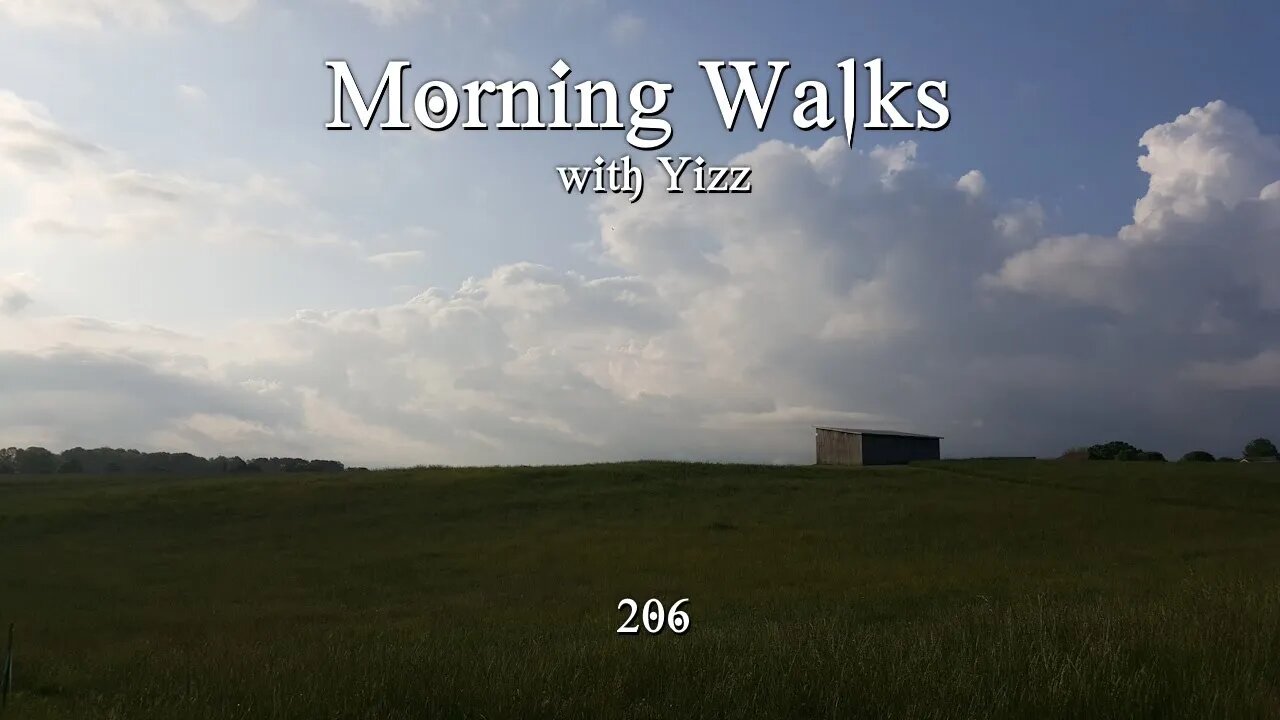 Morning Walks with Yizz 206