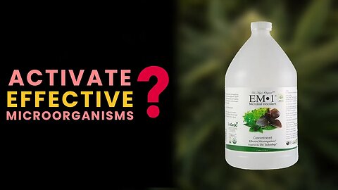 Activate Effective Microorganisms EM-1® - Step By Step Guide