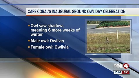 'Ground Owl' predicts more winter in Southwest Florida