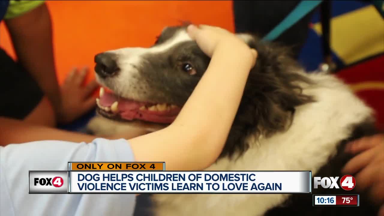 Dog helps children of domestic violence victims heal