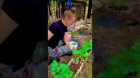 Flashback 🥬#shorts #viral #trending