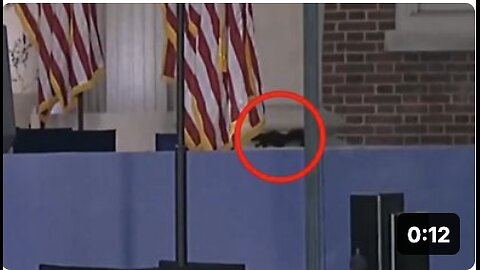 A SQUIRREL showed up at Kamala Harris' concession speech location