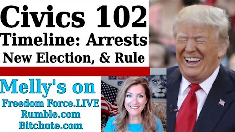 Civics 102: Timeline of Arrrests, Become Active in Local Politics, Freedom Force Battalion 11-21-20