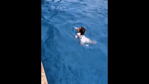 A baby enjoying in a swimming pool