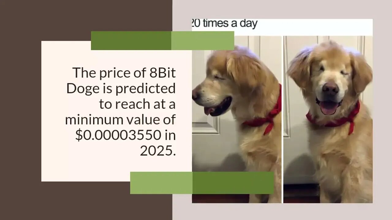 8Bit Doge Price Prediction 2023, 2025, 2030 BITD Cryptocurrency Price Prediction