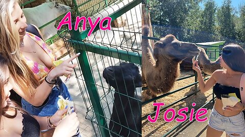 Enjoying Feeding animals at the contact zoo with Anya part 2