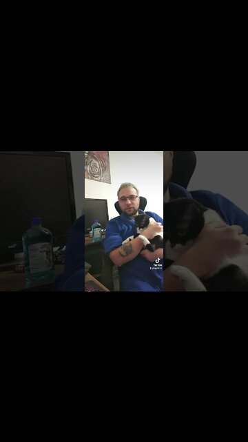 #jmek #caras #rubbing #itisnais #mecat #cat