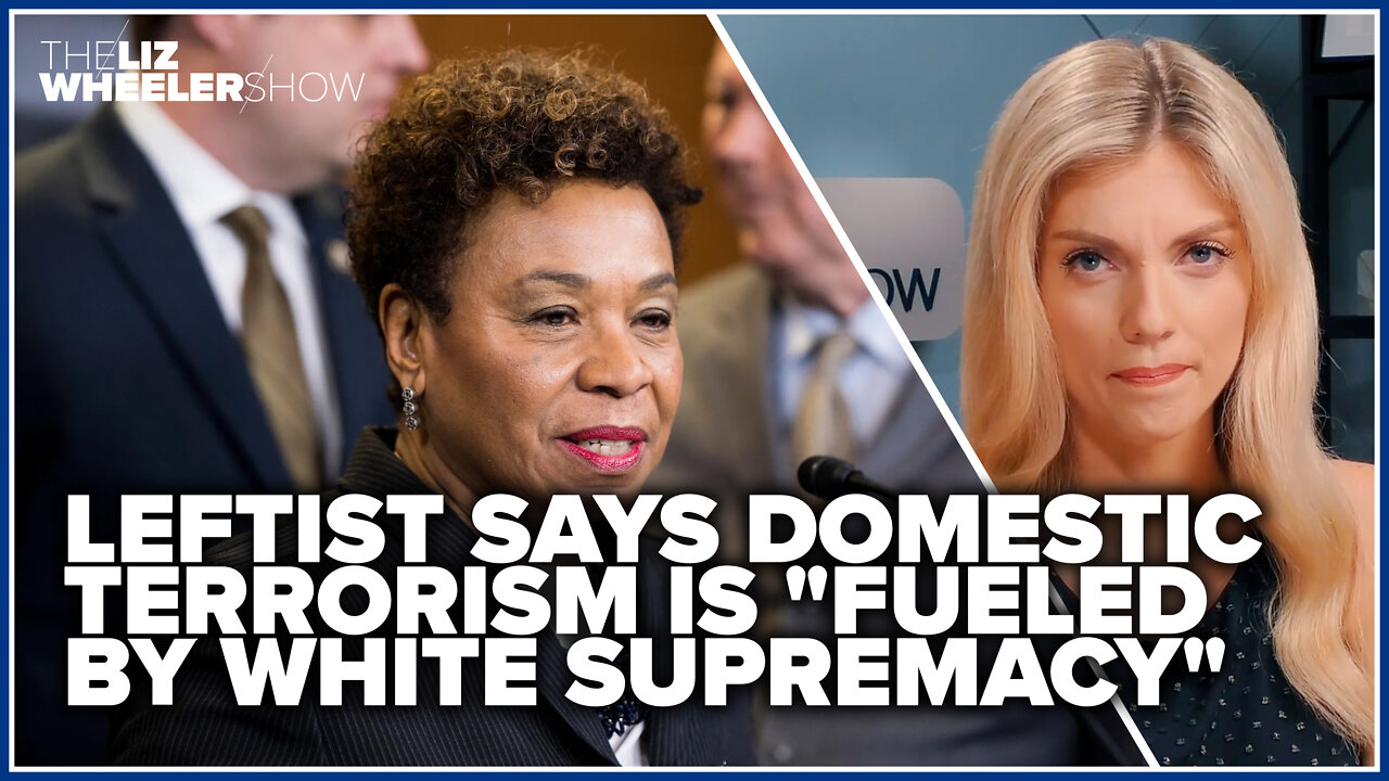 Leftist says domestic terrorism is "fueled by white supremacy"