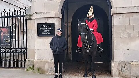 Arni THE TOURIST HATER PATIENTLY WAITING TO BITE #horseguardsparade