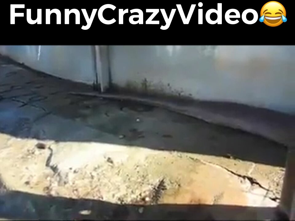 Mr FunnyCrazyVideo😂 Just Incredible Video Funny and Crazy #Like Follow for Follow 🥰
