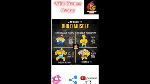 🔥4 methods to build muscle🔥#fitness🔥#wildfitnessgroup🔥#shorts🔥